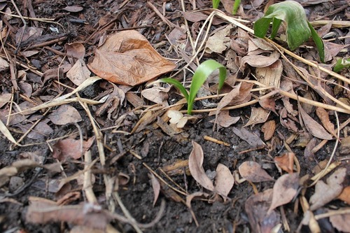 Feb21_st