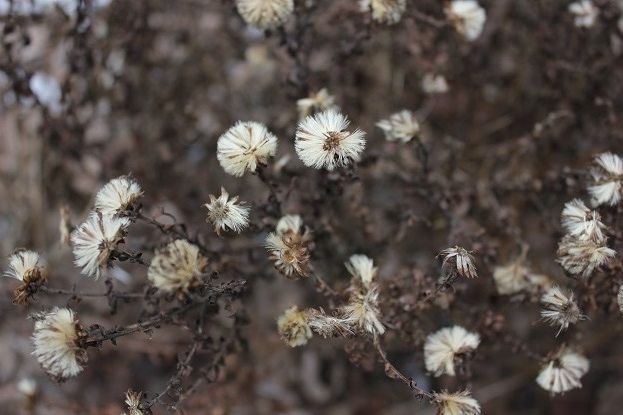 Jan24_awb