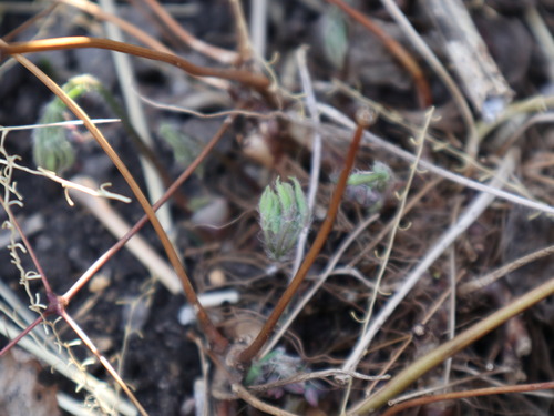 May1 (6)