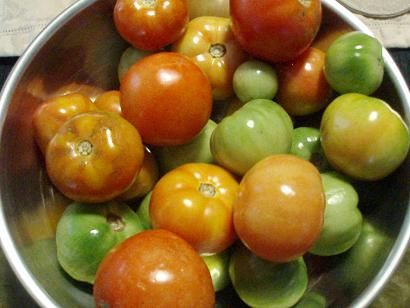 tomatoes