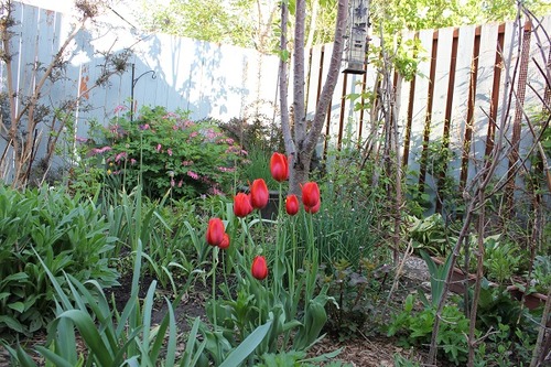 May17_g