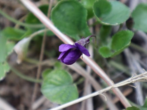 May2 (10)