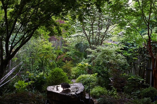 gardenista1