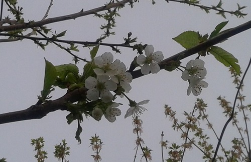 20150505_064036