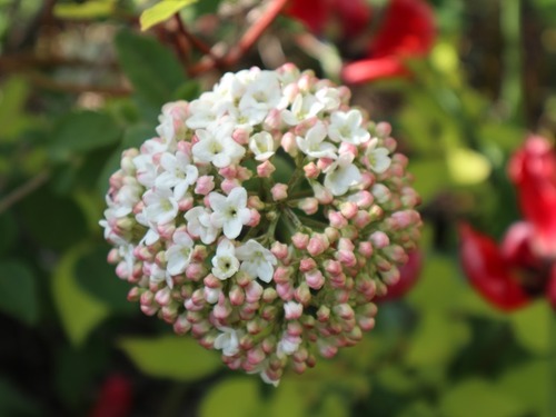 May23 (10)