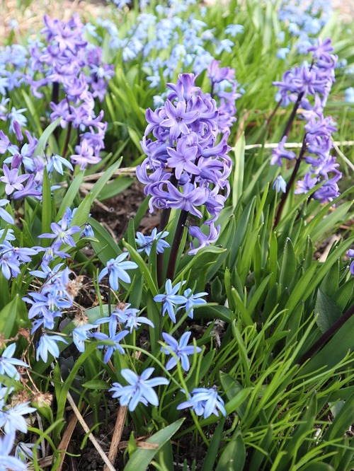 May2 (5)