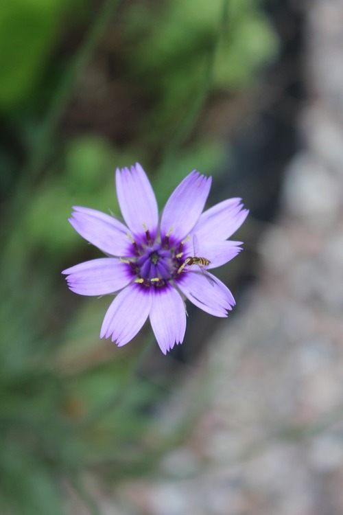 July22_ (53)