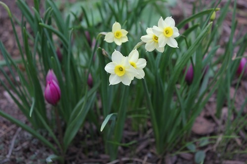Apr29_ dminnow1