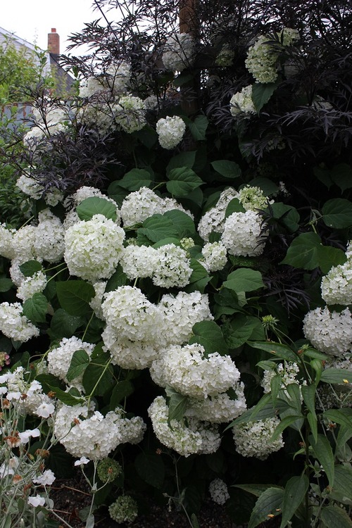 July14_ (51)