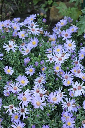 Sept20_awb