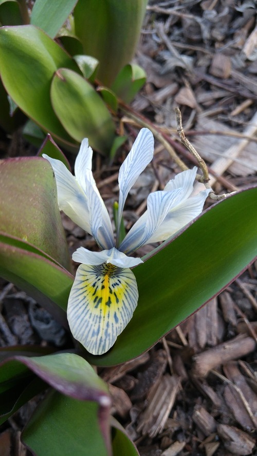 20180423_180146