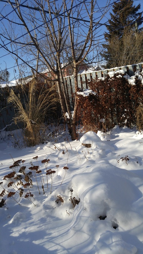 20171231_132659
