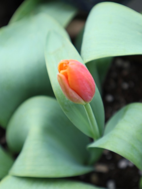 May10 (23)