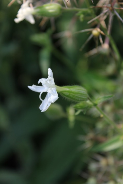 July22_ (34)