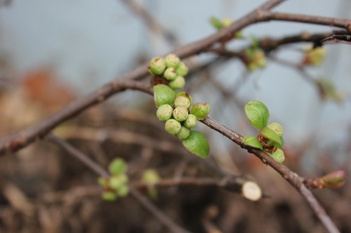 April26_fq