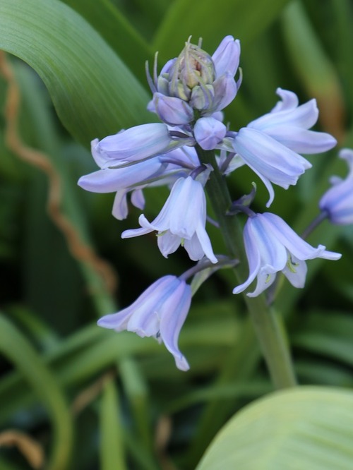 May29 (1)