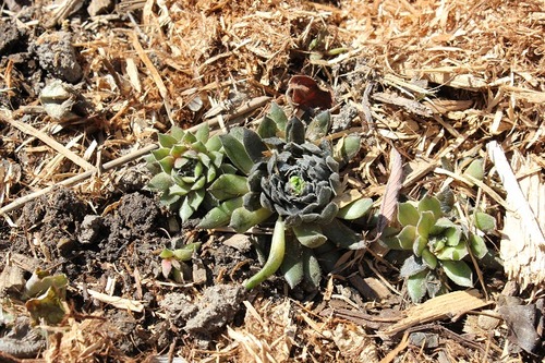April20_hac
