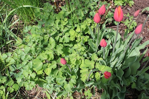 May7_at