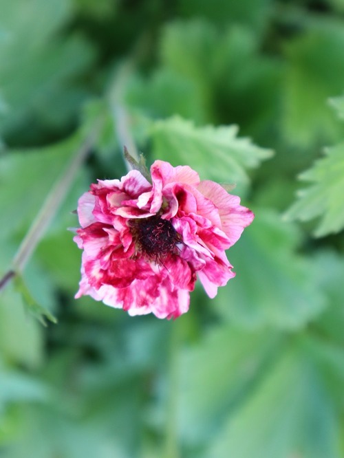 June1 (3)