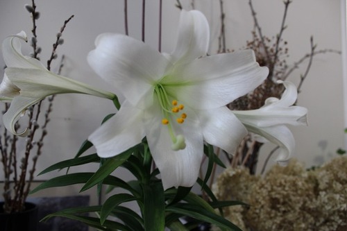 April11_el