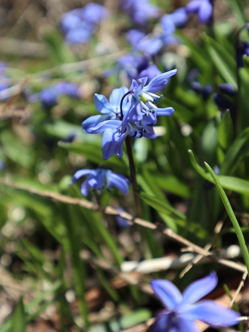 April29 (13)