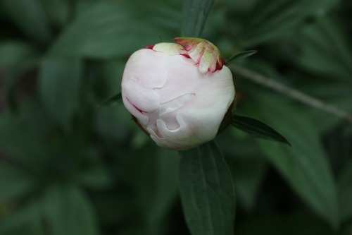 June17_ (151)