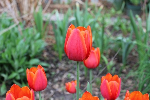 May10_byt