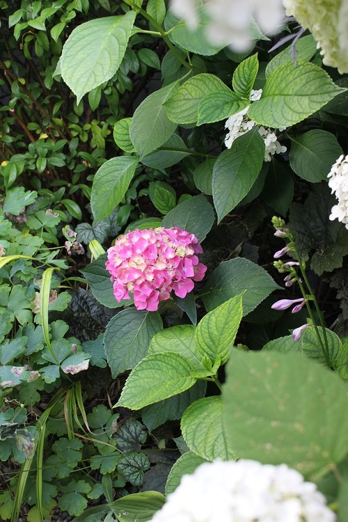 July22_ (30)