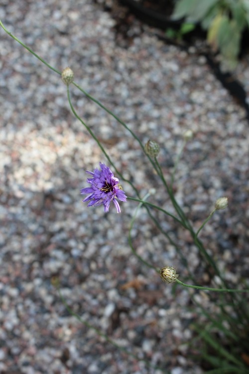 July22_ (53_1)