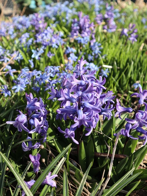 May1 (9)