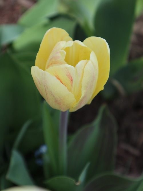 May11 (3)