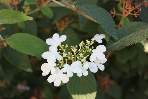 Sept7_ss