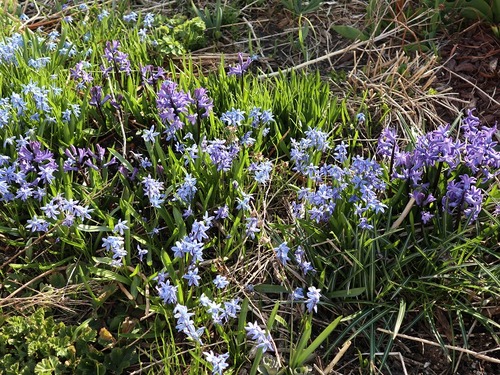 May1 (13)