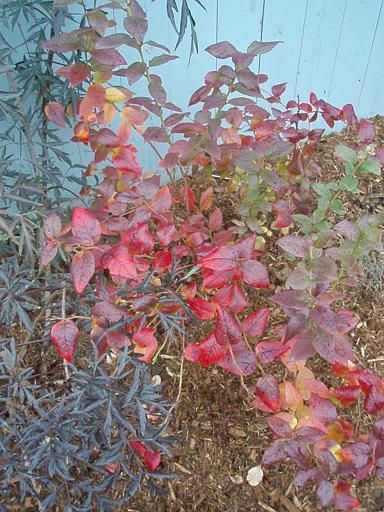 Oct20_bb