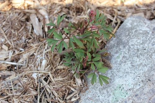 Apr22_bh