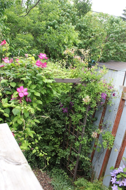 June25_ (13)