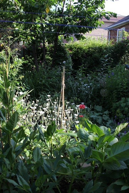 July8_ (38)