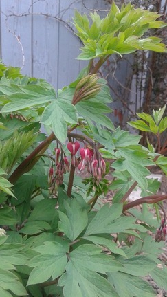 20150505_184636