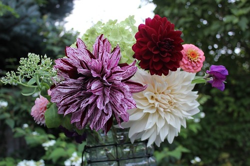 Aug20 (1)