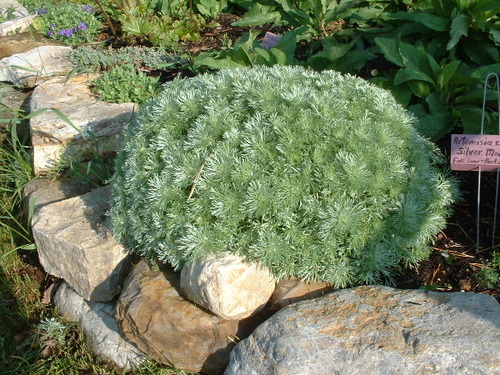 silvermound