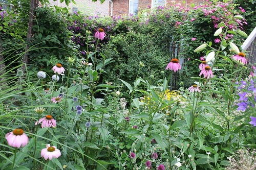 July22_ (59)