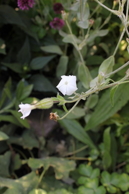 July22_ (35)