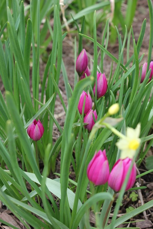 Apr29_ tcr4