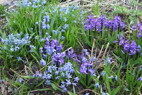 Apr20_sh