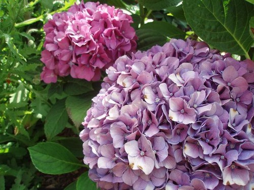 july22_kg