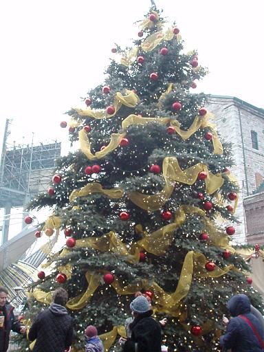 distill_tree