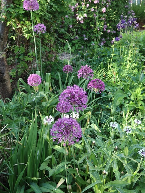 May28 (15)
