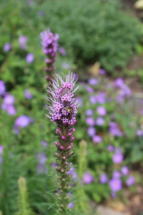 July23_ (29)