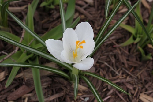 April26_crw