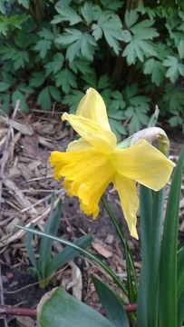 20150504_064136
